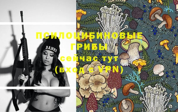 тгк Алзамай