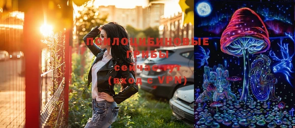 герыч Алексин