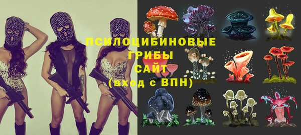 дурь Алексеевка