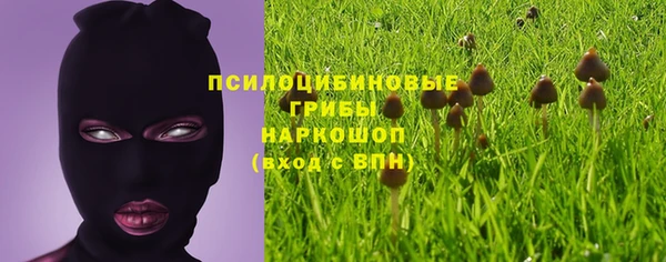 герыч Алексин