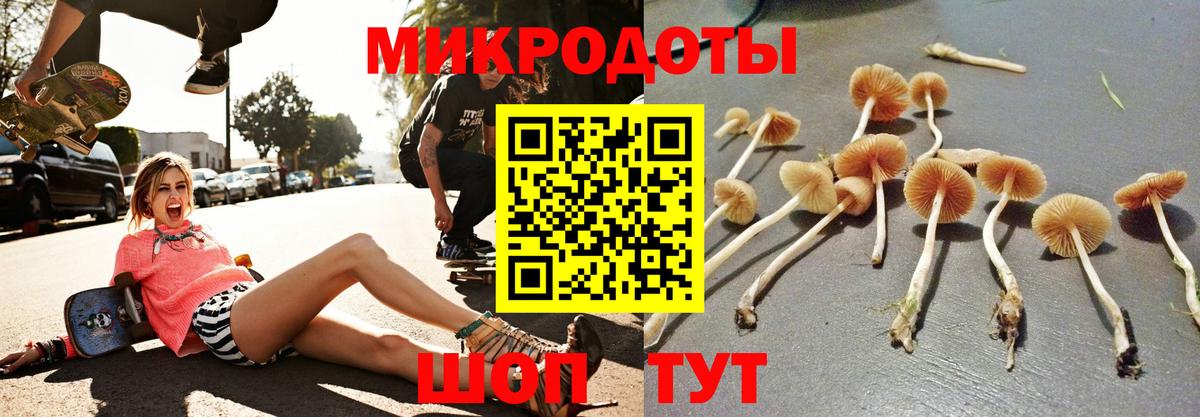 Псилоцибиновые грибы MAGIC MUSHROOMS Обнинск